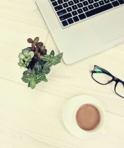 מארזי מתנה לעובדים